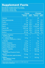 Load image into Gallery viewer, Vital Proteins Vital Performance PRE