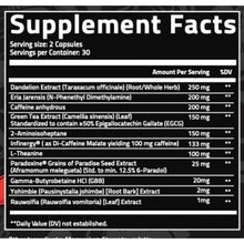 Load image into Gallery viewer, Symbiote Fat Burner